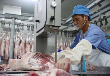 Жамбылда өндірілген етті арабтар ұшақ жалдап алдыруда