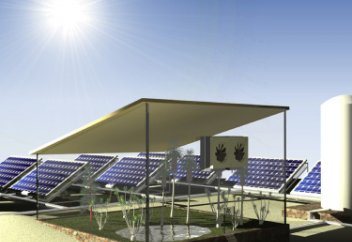 Арабтар шөлде өсімдік өсірудің тың тәсілін тапты