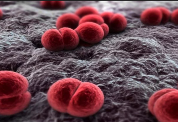 Менингиттің белгілері. Менингококк инфекциясынан қалай қорғану керек?