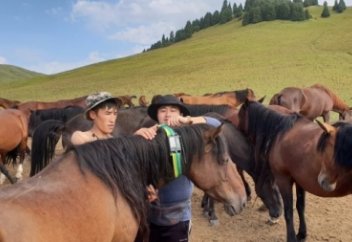 Қазақстандықтардың жоғалған малын Samsung пен Lives’talk іздейтін болады