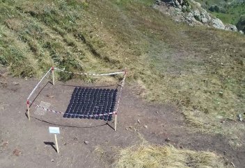 В 2023 году на освобожденных территориях Азербайджана обнаружено 955 мин и 1405 неразорвавшихся боеприпасов - минобороны (ВИДЕО)