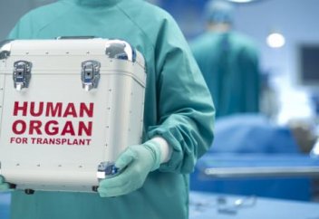 Суд России подтвердил законность изъятия органов погибших без согласия