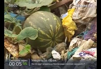 Өсімдіктер әлемі: Қоқыста мутант көкөністер өсуде