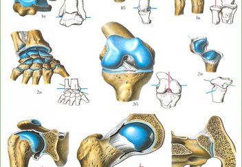 ӘР БУЫНҒА БІР САДАҚА