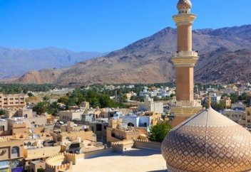 Алкоголь мен шошқа етіне 100% салық бекітілді