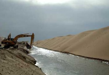 В туркменских Каракумах создается искусственное озеро