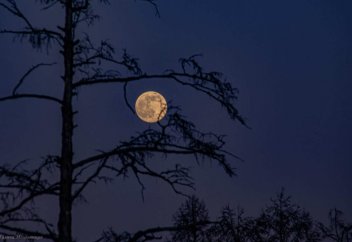 Ақшам намазының уақыты Құптанға таяп қалған болса, ақшамды оқымау керек пе?