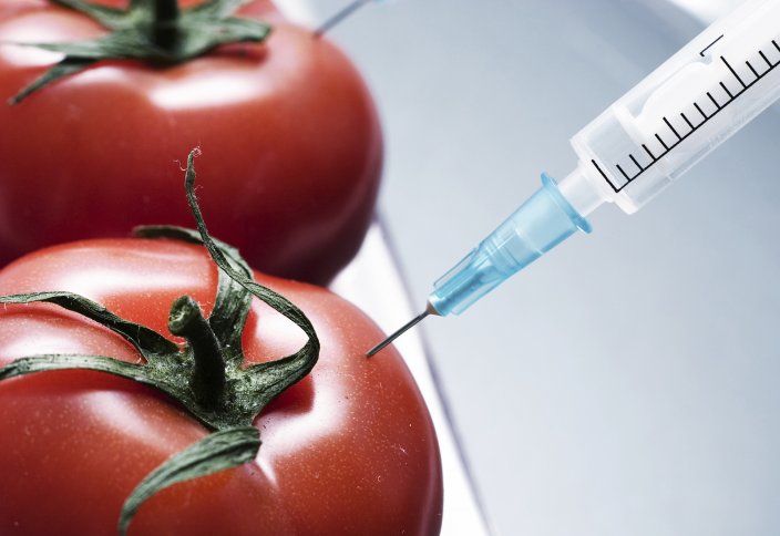 Құрамында ГМО-сы бар азық-түліктер халал ма?