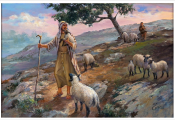 В Турции не могут найти желающих работать по профессии всех пророков