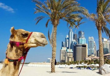 Араб елі азаматтық алғысы келетін шетелдік тұлғалар категориясын бекітті