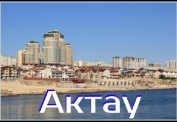 В Актау из-за нашествия насекомых гибнут деревья  (видео)