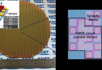 Алғаш рет нейроморфты чип жасалды