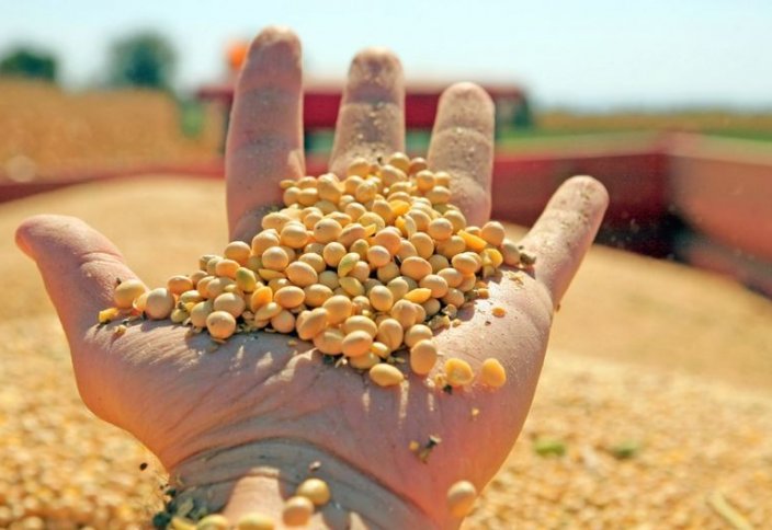 Обязательная маркировка еды улучшила отношение потребителей к ГМО