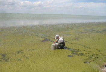 Тұшшы суға қауіп төнді