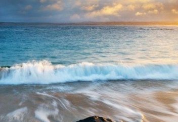 Какие существа на Земле способны пережить смерть