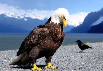 Куда может завести человека гордость?