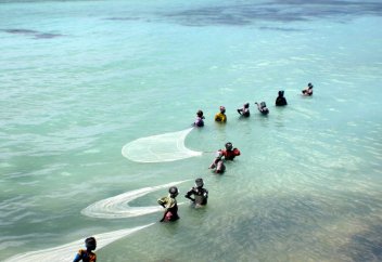 Разные: «Водяное рабство»: как женщины становятся главными добытчиками воды в Африке