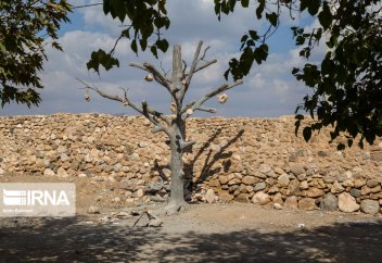 Тас бағы (фото)