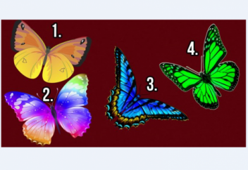 НАЖМИТЕ на бабочку, которая вам приглянулась и узнайте тайны своей души!
