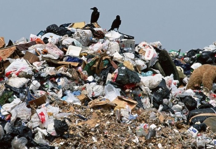 500 тонн мусора за три года (видео)
