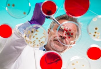 Адам тәнін «жейтін» ықтимал пандемия Австралиядан басталуы мүмкін