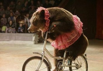 После этого просмотра вы больше не пойдете в ЦИРК