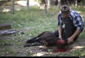 Намаз оқымайтын, бірақ, өзін мұсылман санайтын кісінің сойған малының еті адал ма?