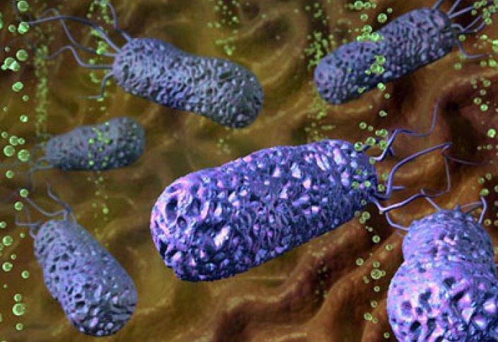 Бактерияның антибиотикке төзімділігінің бір сыры ашылды