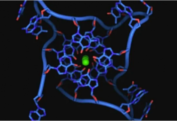 ДНҚ-ның қорқынышты тізбегі...