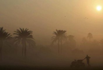 В ОАЭ уровень влажности достиг абсолютного максимума