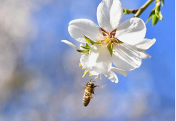 Мировой экономике нужна природа для процветания