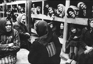 Курт — драгоценный камень...