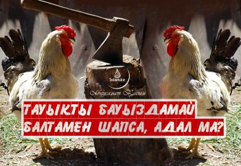 Тауықты бауыздамай балтамен шапса, еті адал ма?