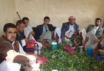 Кат: как смертельно опасное растение распространяется по всему миру (Sasapost, Египет). Марокко: миллион людей живут за счет конопли (Noonpost, Египет)