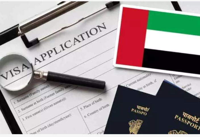 В ​ОАЭ анонсировали четыре новых типа виз