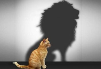 Даннинг-Крюгер эффекті дегеніміз не?