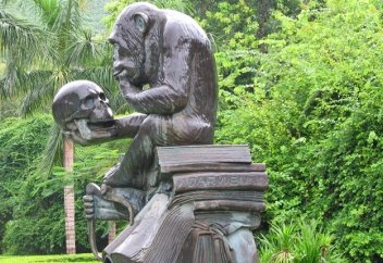 Обезьяны - не наши предки