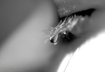 Капля слезы