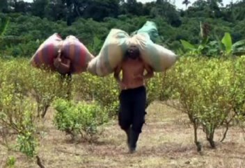 КОЛУМБИЯ ФЕРМЕРЛЕРІ ЕСІРТКІ ОРНЫНА ДӘНДІ ДАҚЫЛ ЕКПЕК