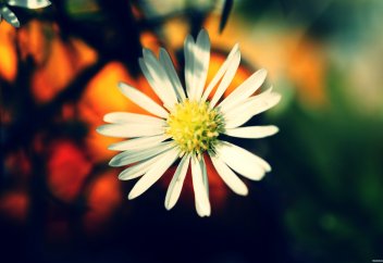 Наставления главе семьи