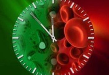 Ерте қартайтатын азық-түліктер белгілі болды