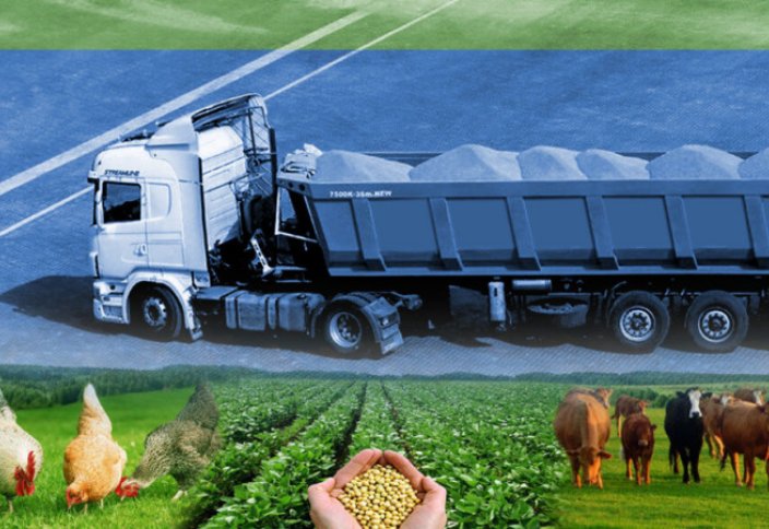 Биотехнологический прорыв в Иране: превращение перьев в корм