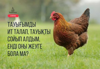 Тауығымды ит талап, тауықты сойып алдым, енді оның етін жеуге бола ма?