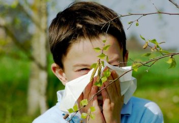 Врачи рассказали, как подготовиться к сезону аллергий