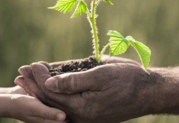 Кез келген дәннен өте жылдам көшет шығару құпиясы