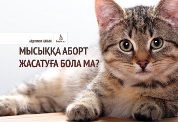 Мысыққа аборт жасатуға бола ма?