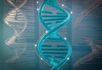 Ғалымдар «зомби жасушалар» тудырған жұмбақ молекулалардың қалай жұмыс істейтінін анықтады