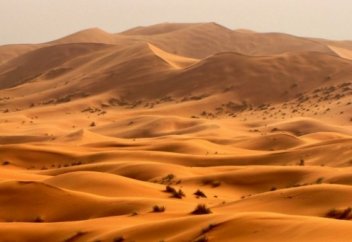 Когда жизнь Адама подошла к концу, Аллах сказал ему...