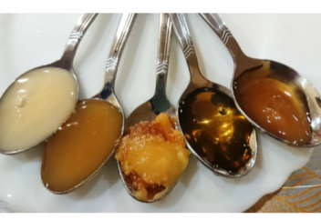 Пять сортов мёда под микроскопом. Каждый должен знать, как подделывают мед.