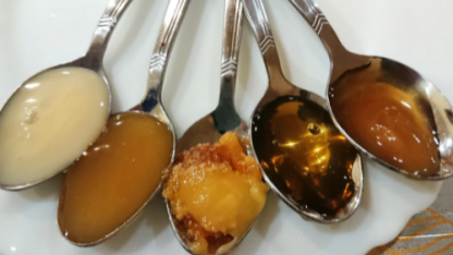 Пять сортов мёда под микроскопом. Каждый должен знать, как подделывают мед.